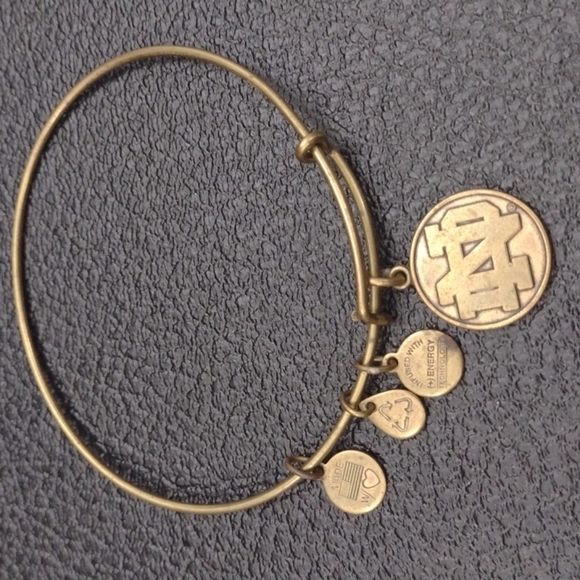Alex and Ani IND Indiana gold charm bracelet adjustable Bangle boho glam - Picture 2 of 3
